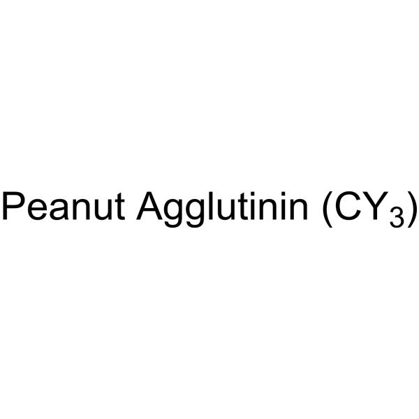 Peanut Agglutinin (CY3)